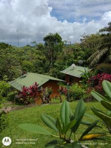 a house with a green roof in a forest at Hotel Mirador Osa in Mogos