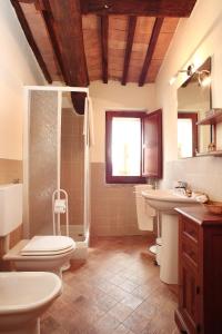 y baño con aseo, ducha y lavamanos. en Agriturismo Il Poggione, en Montalcino