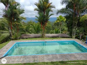 uma piscina num resort com palmeiras em Hotel Mirador Osa em Mogos