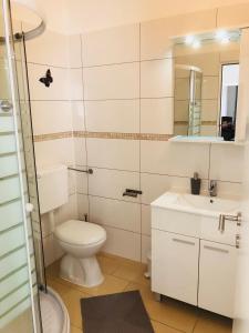 a bathroom with a toilet and a sink and a mirror at Apartment Lucie3 in Biograd na Moru
