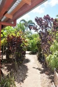 Zahrada ubytování Cooktown Motel