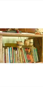 a book shelf filled with lots of books at Jardín de Naipí in Puerto Iguazú