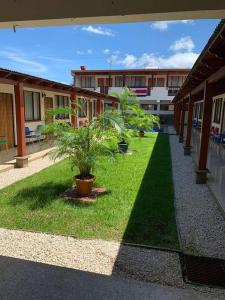 Zahrada ubytování Hotel La Siesta