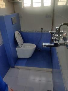 齋浦爾的住宿－Hotel Aarjee Crescent Jaipur，浴室设有蓝色摊位的卫生间