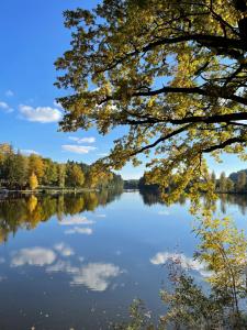 Am Herrensee