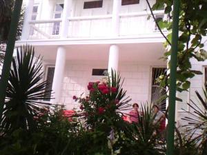 Zahrada ubytování White Guest House