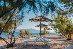 a beach with chairs and umbrellas and the water at Waterman Beach Village in Supetar