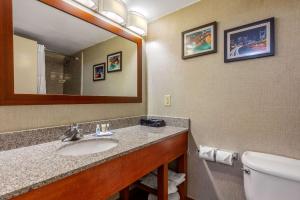 a bathroom with a sink and a toilet and a mirror at Comfort Inn & Suites Nashville-Antioch in Antioch