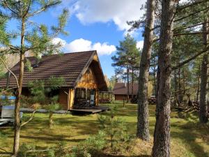 a log cabin in the woods with trees at Trakų vienkiemis in Daumilai