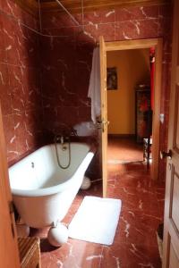 a bathroom with a bath tub in a room at Lovely 4-Bed Cottage near Pedrogao Grande in Pedrógão Grande
