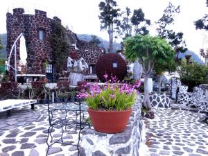 Jardí fora de J-Garden