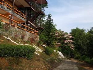 een gebouw op een heuvel met roze bloeiende bomen bij ไร่ภูจำปา in Khao Kho +22 foto's