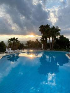 a large blue swimming pool with chairs and palm trees at Agriturismo Serra San Biagio in Calatabiano