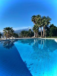 una gran piscina azul con palmeras en el fondo en Agriturismo Borgo San Biagio, en Calatabiano