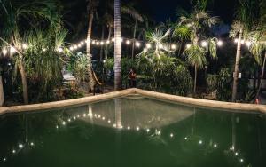 a swimming pool with lights in front of palm trees at Hostel Oryx Tulum in Tulum