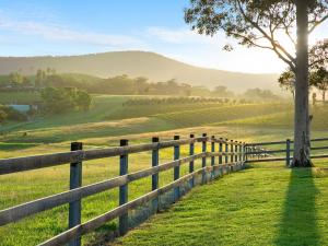 a wooden fence in a field with a tree at Marrowbone Mountain Views in Pokolbin