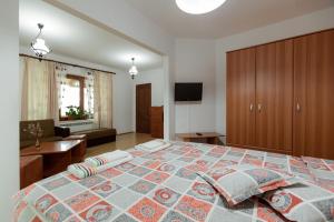 a bedroom with a large bed and a television at Casa Emma in Vatra Dornei