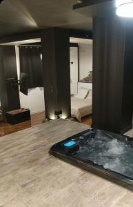 Afbeelding uit fotogalerij van La suite Grenoble spa jacuzzi et sauna privatif in Grenoble