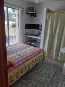 a bedroom with a bed and a tv and a window at Obelix Apartment in Grand-Baie