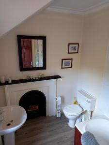 a bathroom with a toilet and a fire place at The Tushielaw Inn in Selkirk