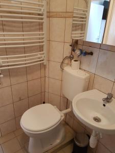 Kúpeľňa v ubytovaní Kuckó Apartman Berente + 7 fotografií