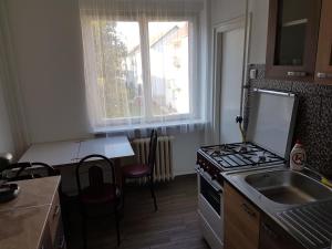 Kuchyňa alebo kuchynka v ubytovaní Kuckó Apartman Berente