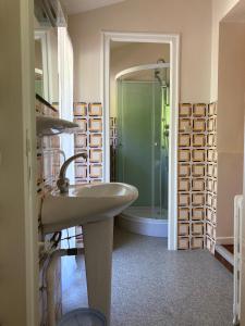 un baño con lavabo y ducha en Résidence Richelieu, en Barèges