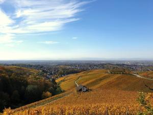 a farm on a hill with a barn on it at Studio-Apartment mit Garten, Parkplatz & Küche in Offenburg