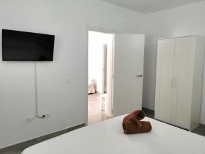 A television and/or entertainment centre at Apartamentos Anjomacar A