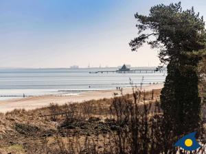a view of a beach with a pier in the distance at Villa Vineta Whg 08 in Bansin +16 photos