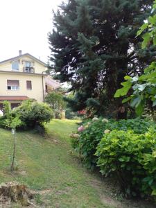 a yard with a house and some trees and bushes at La Magia Della Collina, Appartement de charme in Turin