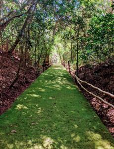 a path in the middle of a forest with a fence at Vila Ventura Ecoresort in Viamão +24 photos