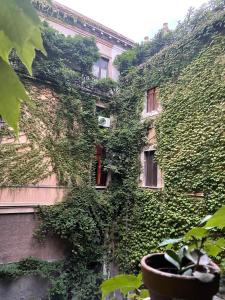 a building covered in ivy with a plant at Alda Sunflowers in Catania