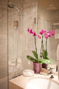 A bathroom at Hotel Louvre Sainte Anne