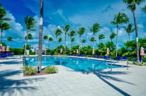 a swimming pool with blue chairs and palm trees at Indigo Reef Resort in Marathon