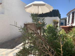 Zahrada ubytování Casa rural las perez