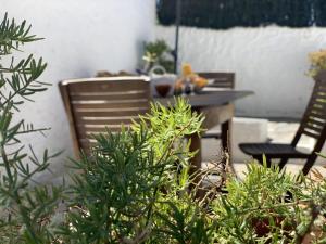 Zahrada ubytování Casa rural las perez