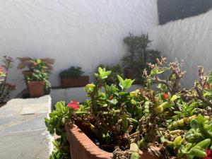 Zahrada ubytování Casa rural las perez