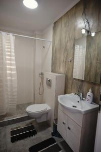 a bathroom with a white toilet and a sink at Casa IANIS Turda in Turda