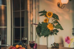 Fotografie z fotogalerie ubytování Coraline -Koblach, 6-10 P, 3 Schlafzimmer, Küche, riesige Terrasse, Parkplatz, WiFi, Stellplatz Ski v destinaci Koblach