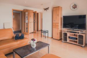 TV a/nebo společenská místnost v ubytování Coraline -Koblach, 6-10 P, 3 Schlafzimmer, Küche, riesige Terrasse, Parkplatz, WiFi, Stellplatz Ski