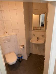 a small bathroom with a toilet and a sink at SASS APARTHOTEL in Schönenwerd