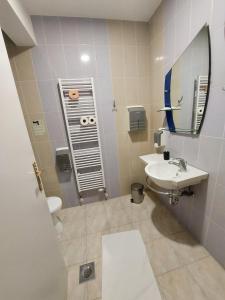 a bathroom with a sink and a toilet and a mirror at Hotel Villa Valpovo in Valpovo +53 photos