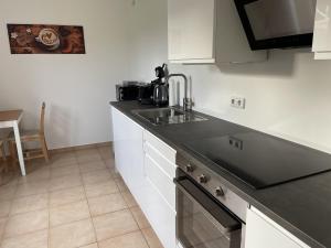Kuchyň nebo kuchyňský kout v ubytování Apartment Mühlbach