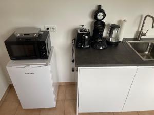 Kuchyň nebo kuchyňský kout v ubytování Apartment Mühlbach