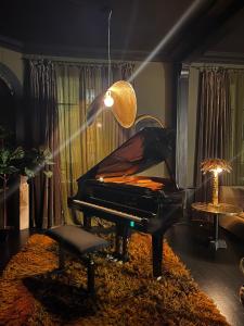 La Villa 1901 في نانسي: بيانو في غرفة فيها كرسي ومصباح
