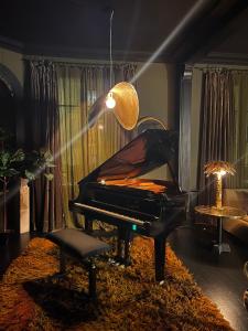 een piano in een kamer met een stoel en een lamp bij La Villa 1901 in Nancy