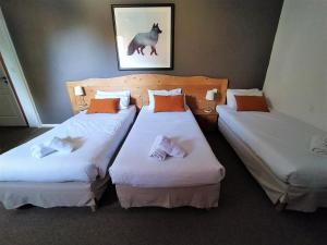 Voodi või voodid majutusasutuse Hôtel Aalborg toas