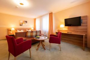 TV a/nebo společenská místnost v ubytování Hotel Zum Steinhof