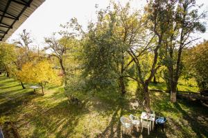 Zahrada ubytování Guest House Iaraji